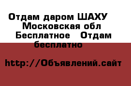 Отдам даром ШАХУ! - Московская обл. Бесплатное » Отдам бесплатно   